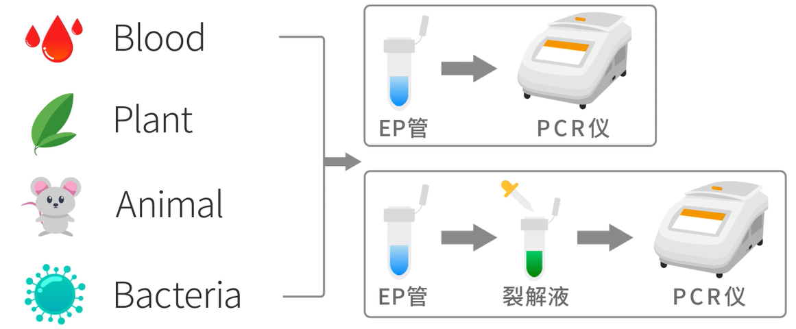 干货！常用PCR技术及原理 - pcr技术及其应用试卷及答案 - 实验室设备网