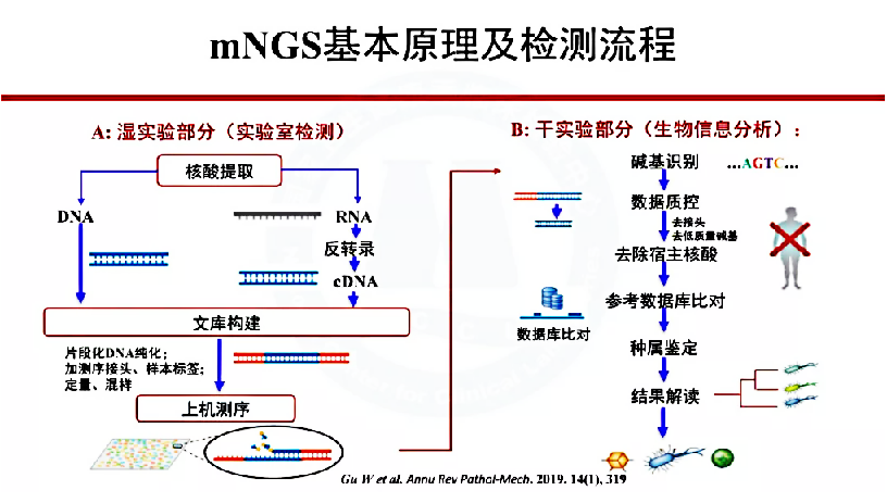 mNGS病原微生物检测完整解决方案V2.0