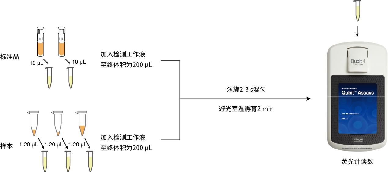 Qubit®双链DNA(dsDNA)荧光定量检测试剂盒1×dsDNA HS Assay Kit for Qubit®