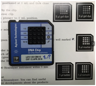 Agilent Bioanalyzer文库长度检测仪