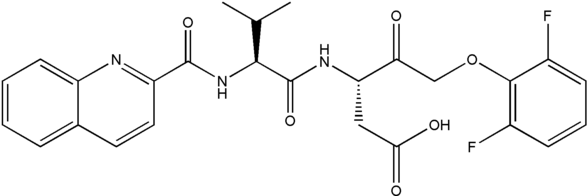 55.bmp