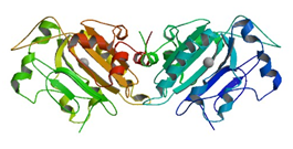 http://www.rcsb.org/pdb/images/1QL0_bio_r_500.jpg?bioNum=1