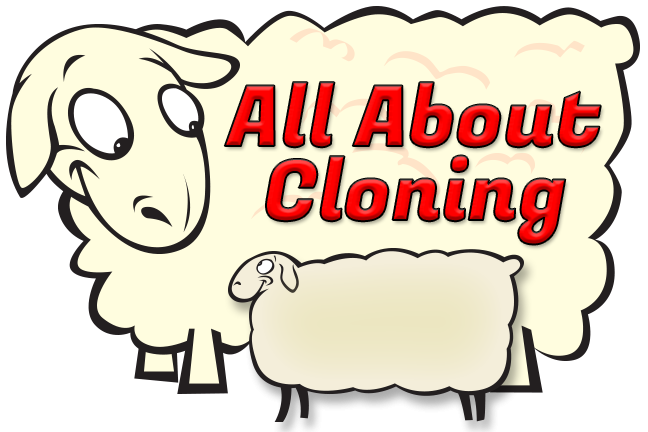 all-about-cloning-title.png