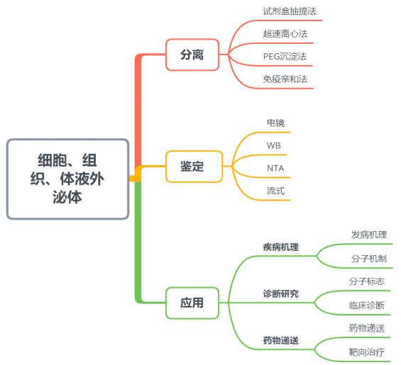 外泌体(exosome)研究整体思路