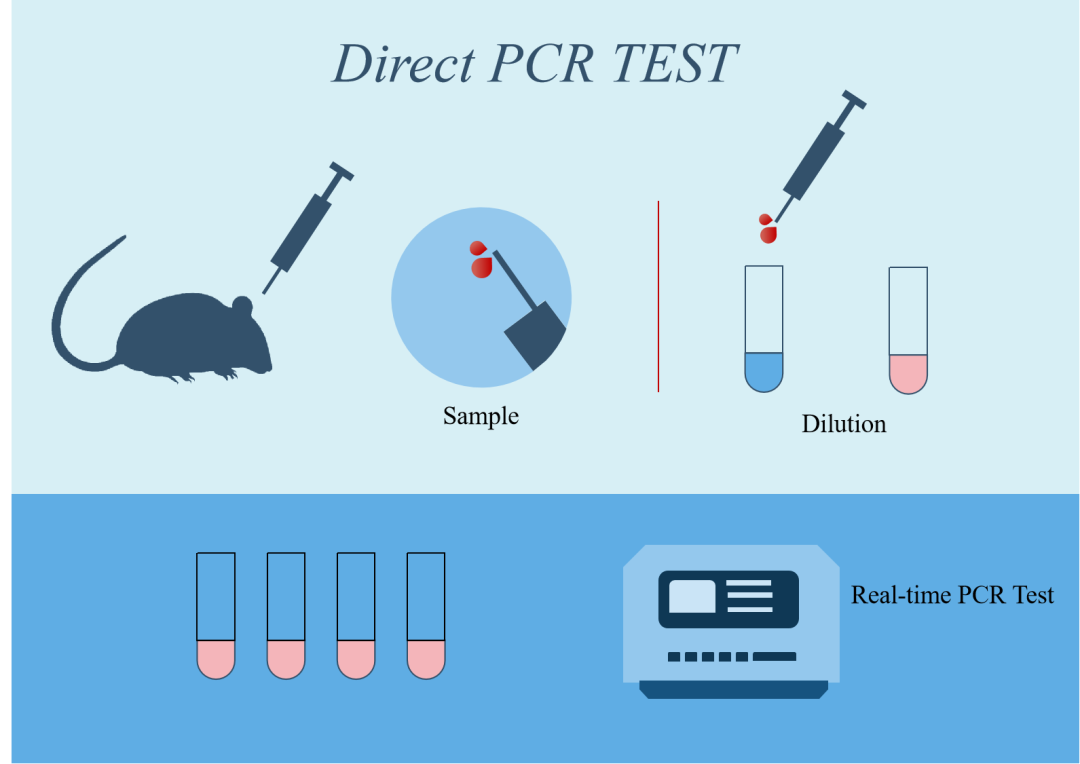 PCR图标图片