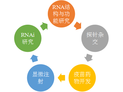 1608172465137423.png 图片.png