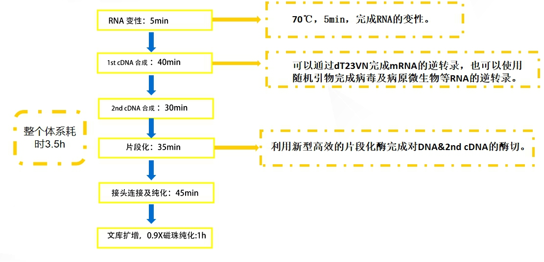 dna& rna共建庫操作流程使用方法step 1 rna變性1.