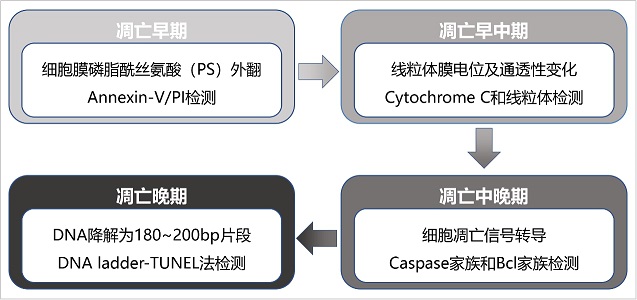 杨1.jpg