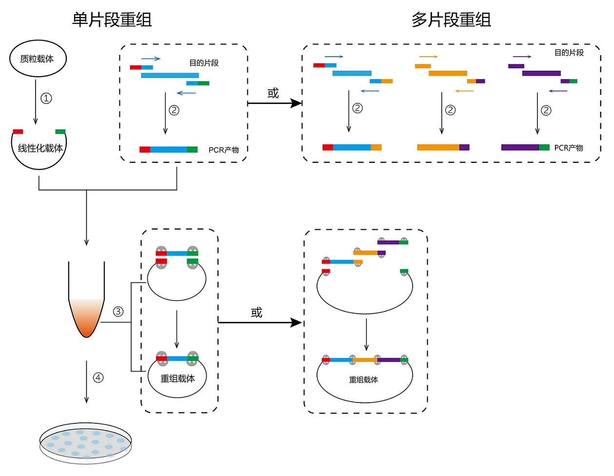 单片/多片段重组流程图