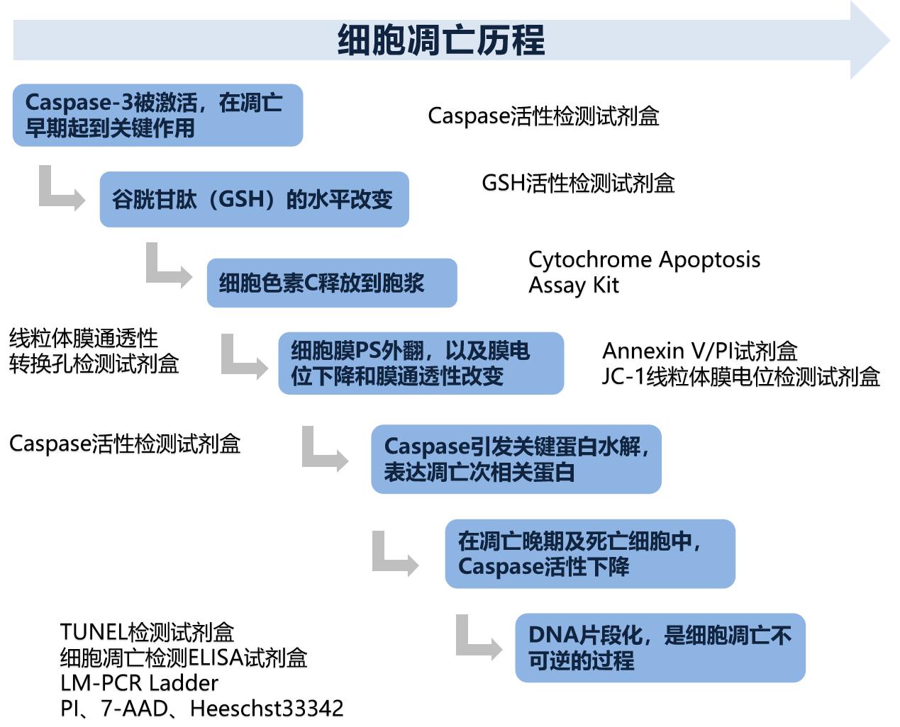 杨1.jpg