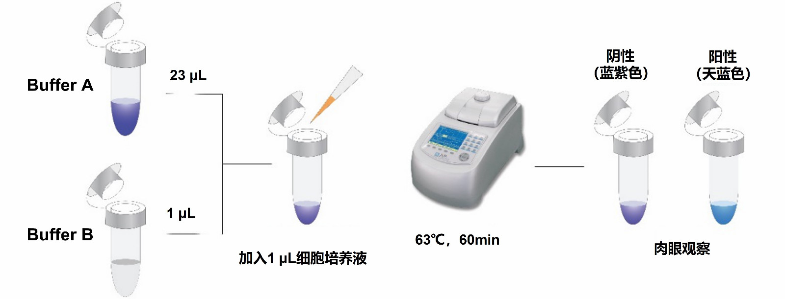 郑2定.jpg