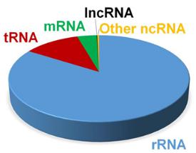 图1 人类组织细胞RNA组成分布.jpg