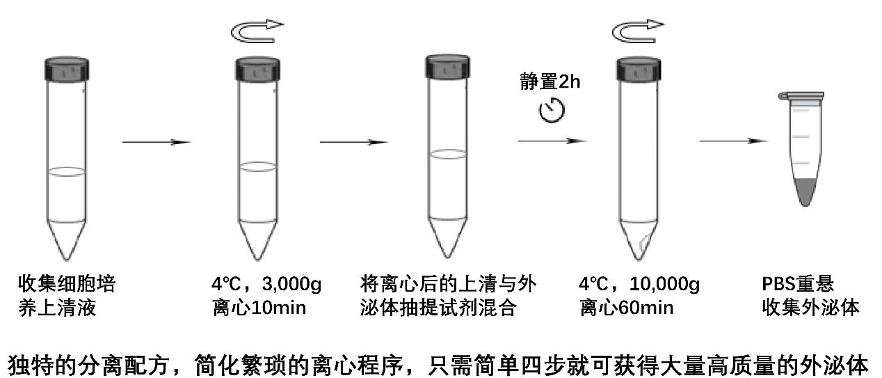 翌圣生物外泌体提取试剂盒4步完成实验.jpg