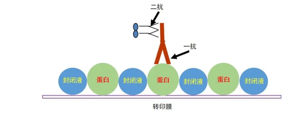 封闭原理.jpg