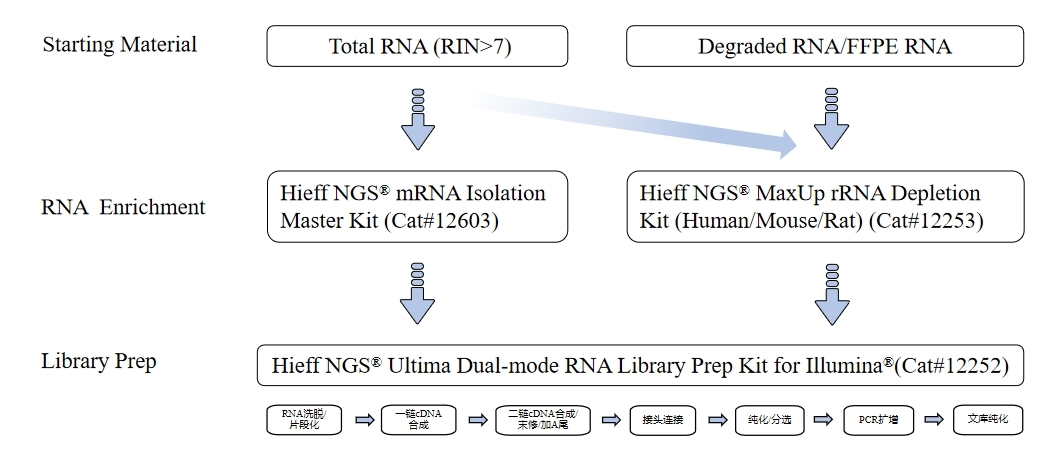 图1 RNA建库操作流程.jpg
