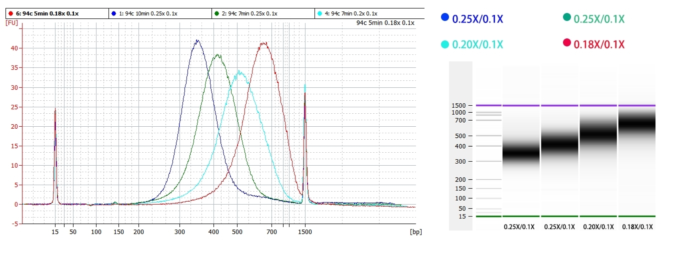 图4. 1ug 293 total RNA，在94°C，10 min、94°C，7min和94℃，5 min片段化后，根据表19推荐的磁珠比例得到的文库大小。.jpg