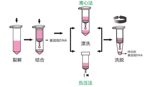 图片3.png