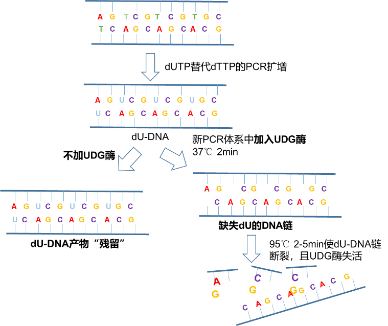1650606803908636.png 1650606803908636.png