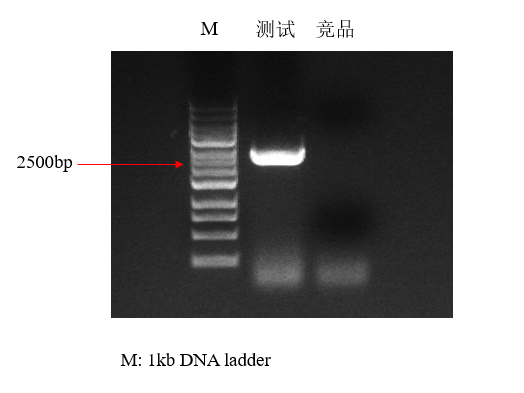 微信图片_20220523092745.png