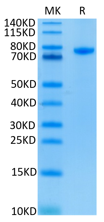 1660025215741934.png