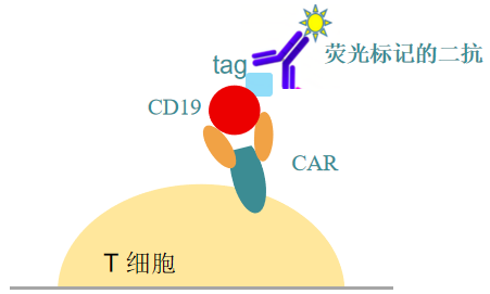 图片4-1.png