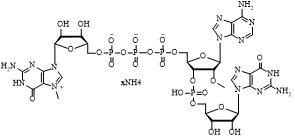 Cap1-GAG钠盐帽类似物结构m7G(5')ppp(5')(2'OMeA)pG
